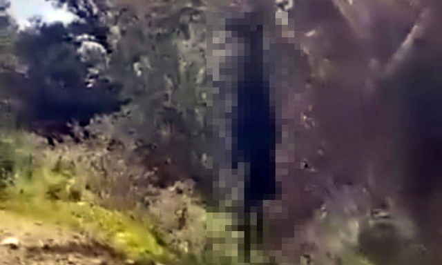 Φρίκη στην Ικαρία: Κατσίκα ήταν κρεμασμένη σε δέντρο για τέσσερις ημέρες