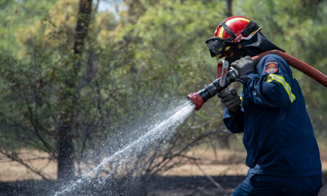 Μεσσηνία: Yπό μερικό έλεγχο η φωτιά στο Στενύκλαρο - Έκαψε 50 στρέμματα