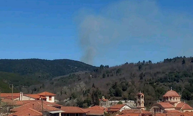 Φωτιά στην Κυνουρία Αρκαδίας - Ισχυρή κινητοποίηση της Πυροσβεστικής