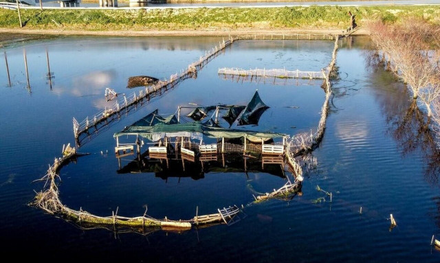 Υπό εξαφάνιση οι αγρότες έως το 2050 - Ποιες περιοχές της Ελλάδας κινδυνεύουν άμεσα