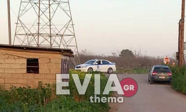 Τραγωδία στην Εύβοια - Νεκρή γυναίκα σε φρικτό τροχαίο