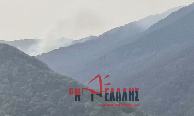 Φωτιά στην Κατερίνη - Επιχειρούν επίγειες και εναέριες δυνάμεις