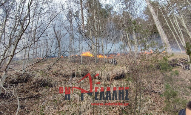 Πιέρια Όρη: Έρπουσα η φωτιά στο μεγαλύτερο μέρος της, σύμφωνα με την Πυροσβεστική