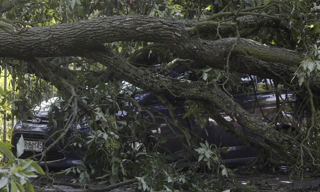 Πολωνία: Πέντε νεκροί από του ισχυρούς ανέμους - Ανάμεσά τους και παιδιά