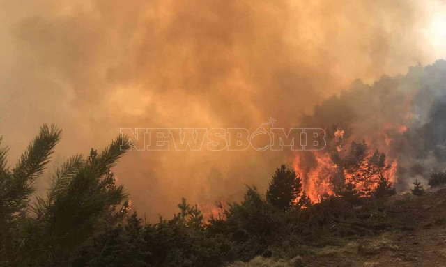 Φωτιά στα Πιέρια όρη: Είναι έρπουσα, έφτασε στα όρια του νομού Κοζάνης, λέει ο δασάρχης