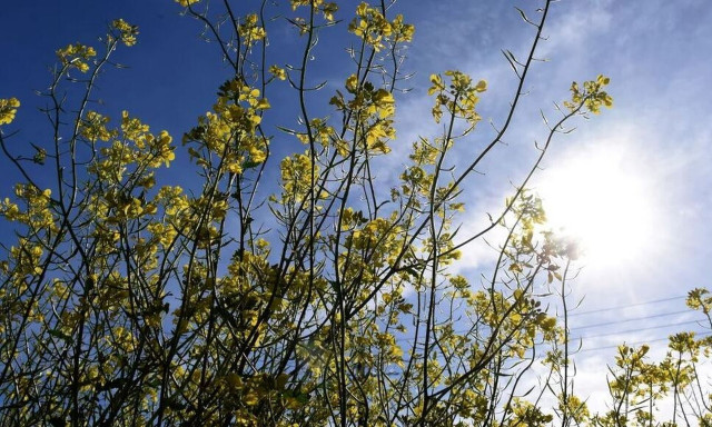 Χανιά: Λήψη μέτρων στον δήμο Κισσάμου για την επάρκεια του νερού