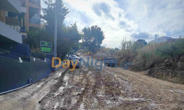 Ρέθυμνο: Τι θα γίνει επιτέλους με τη «ζούγκλα» της οδού Ασκούτση;