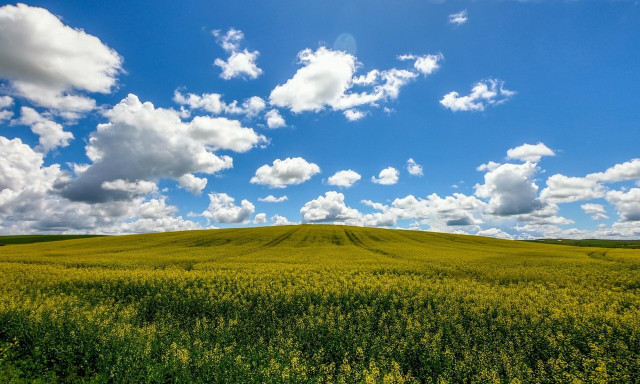 Καιρός: Με υψηλές θερμοκρασίες και η Παρασκευή - Η πρόγνωση για το Σαββατοκύριακο