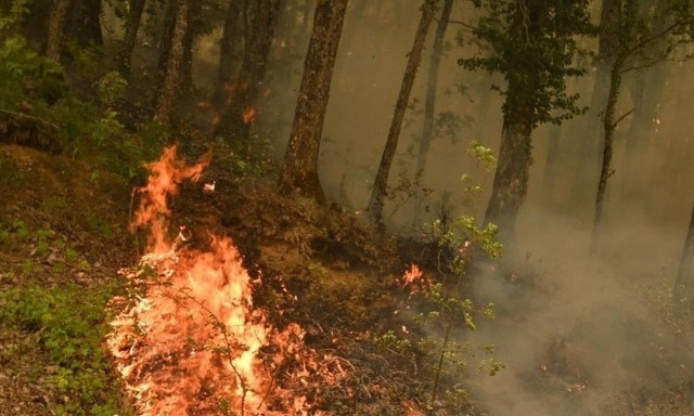 Πυροσβεστική: Οι πολίτες να λαμβάνουν τα απαραίτητα μέτρα πυροπροστασίας