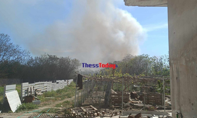 Θεσσαλονίκη: Ξέσπασε μεγάλη φωτιά - Καίει κοντά σε βαγόνι του ΟΣΕ