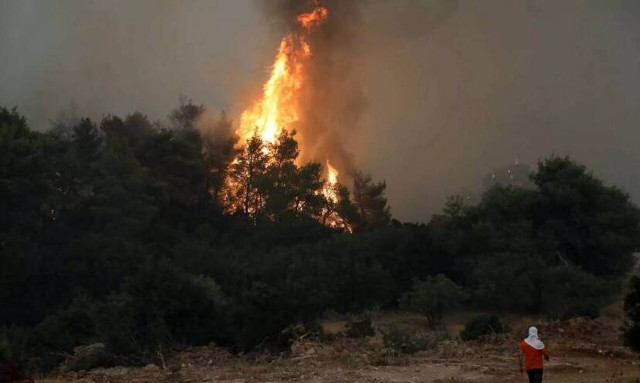Φωτιά στο Λασίθι: Βελτιωμένη η εικόνα της πυρκαγιάς - 71 μέτωπα σε 12 ώρες και ακόμα είναι Απρίλιος