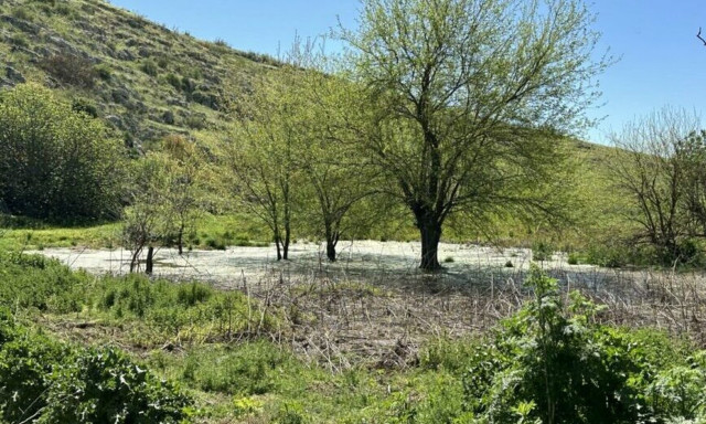 Φάρσαλα: Αναβλύζει νερό μετά από 44 χρόνια!