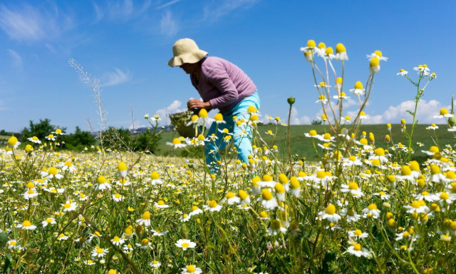 Κάρτα του Αγρότη: Πριν το Πάσχα η ενεργοποίησή της – Τι παρέχει