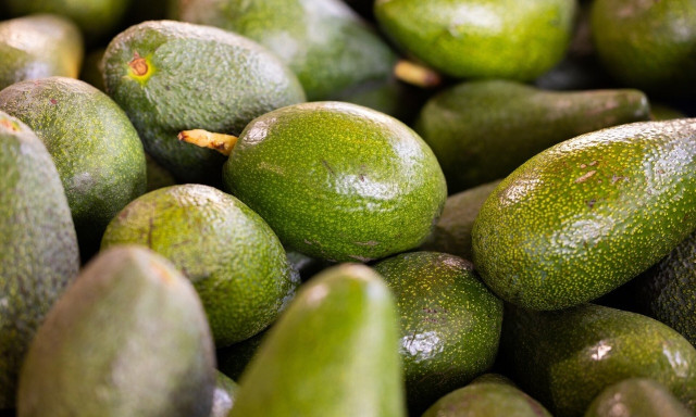 Κλέφτες μαζεύουν αβοκάντο από χωράφια Κρητικών