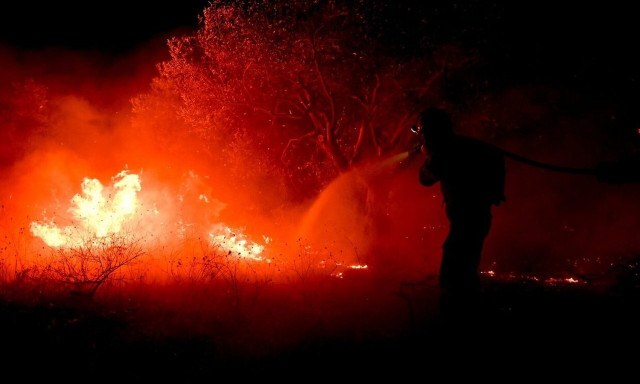 Συναγερμός για «καυτό» καλοκαίρι: Οικόπεδα... βόμβες μέσα σε κατοικημένες περιοχές