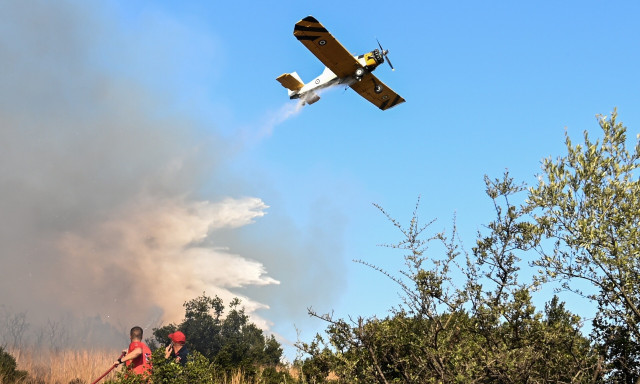 Φωτιά σε δασική έκταση στη Φθιώτιδα - Επιχειρούν και εναέρια μέσα