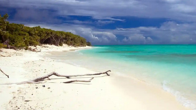 Μυθιστορηματική διάσωση ναυαγών στον Ειρηνικό: Έγραψαν τη λέξη «HELP» με φύλλα φοίνικα στην παραλία