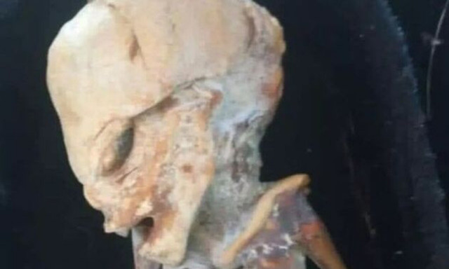 Μεξικό: Ερευνητής εντόπισε «εξωγήινο μωρό» σε σπηλιά - Απόκοσμες εικόνες