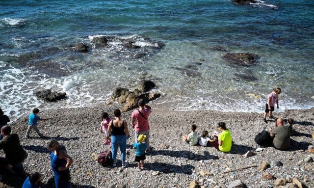Βόλος: Φίδι τσίμπησε γυναίκα μέσα στη θάλασσα