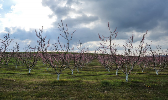 Αλλάζει ο καιρός: Έρχονται λασποβροχές και καταιγίδες – Μέχρι 26 βαθμούς η θερμοκρασία