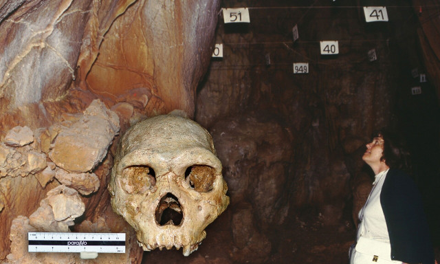 Το Σπήλαιο των Πετραλώνων και τα μυστικά των 700.000 ετών αποκαλύπτονται ξανά στο ελληνικό κοινό