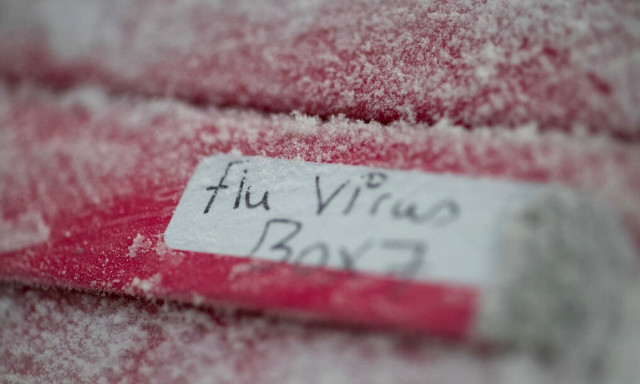 Συναγερμός από τους ειδικούς: Η επόμενη πανδημία είναι πιθανόν να προκληθεί από τον ιό της γρίπης