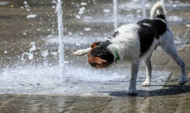 Απαισιόδοξοι οι μετεωρολόγοι για το καλοκαίρι του 2024: «Θα συνηθίσουμε τη νέα κανονικότητα»