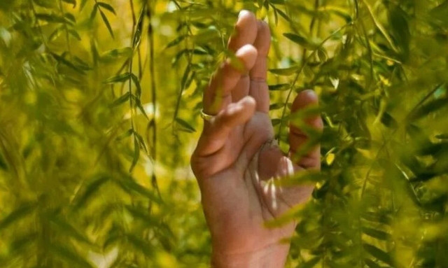 Η βιωσιμότητα συναντά την υψηλή ποιότητα στα νέα προϊόντα φροντίδας ρούχων και υγρών πιάτων Αρκάδι