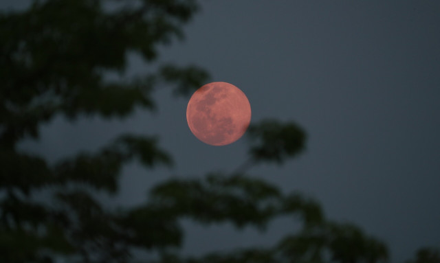 Ροζ πανσέληνος του Απριλίου: Πότε θα τη δούμε στην Ελλάδα