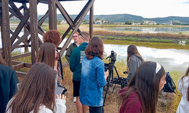 Μυτιλήνη: Δράσεις ορνιθοπαρατήρησης στους υγροτόπους του Κόλπου Καλλονής