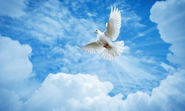 Αγίου Πνεύματος 2024: Πότε πέφτει - Για ποιους κλάδους είναι αργία