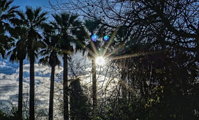 Καιρός αύριο: Άνοδος της θερμοκρασίας και καλοκαιρία την Παρασκευή (26/4)