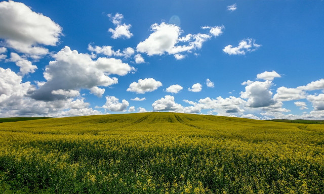 Με καλό καιρό και άνοδο της θερμοκρασίας η Παρασκευή – Η πρόγνωση μέχρι τη Μεγάλη Τρίτη