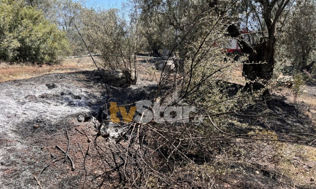 Φωτιά στο Άνυδρο Στυλίδας