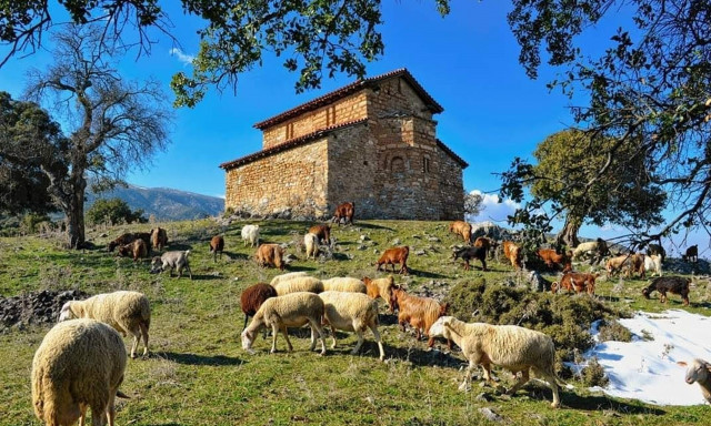 Η ιστορική Αιανή, οι Λαζαρίνες, ο τουρισμός, το 1ο Οικονομικό Φόρουμ και το γεωλογικό ταξίδι