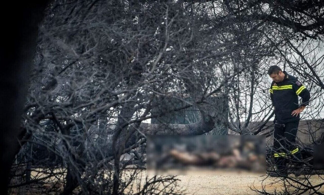 Μάτι: «Νιώθουμε προδομένοι, η απόφαση ήταν όνειδος» - Τα επόμενα βήματα των συγγενών των θυμάτων