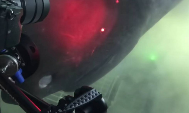 Υπεραιωνόβιο τέρας από τα βάθη της αβύσσου επιτίθεται σε υποβρύχιο - Βίντεο που κόβει την ανάσα