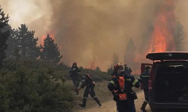 Ιωάννινα: Προφυλακίστηκε ο άνδρας που έβαλε φωτιά σε δασική έκταση