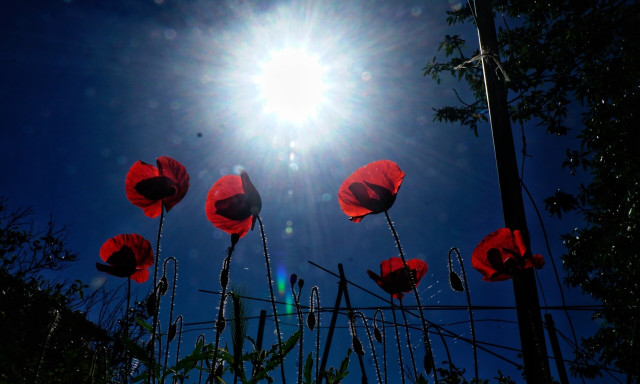 Μεγάλη Πέμπτη: Έθιμα, παραδόσεις και δεισιδαιμονίες - Ετοιμάστε αλάτι και κάντε μπάνιο πρωί