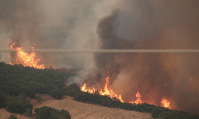 Φωτιά τώρα στη Βοιωτία - Σηκώθηκαν εναέρια μέσα