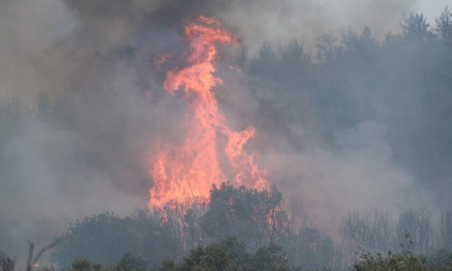 Φωτιά τώρα σε δασική έκταση στο Ναύπλιο