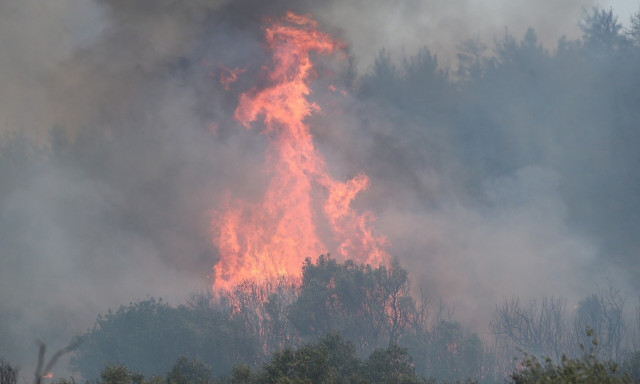 Φωτιά στην Αργολίδα - Σηκώθηκε και ελικόπτερο για την κατάσβεση