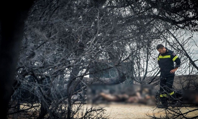 Στην Ελλάδα καταντήσαμε να αποθεώνουμε το… αυτονόητο!