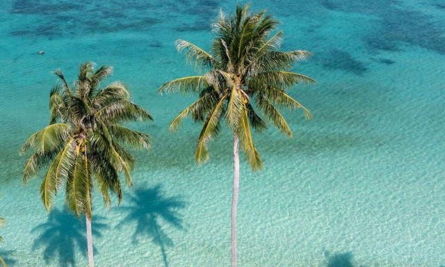 Αγοράστε ένα νησί με... Bitcoin - Πώς τα κρυπτονομίσματα αλλάζουν τις συμφωνίες ακινήτων