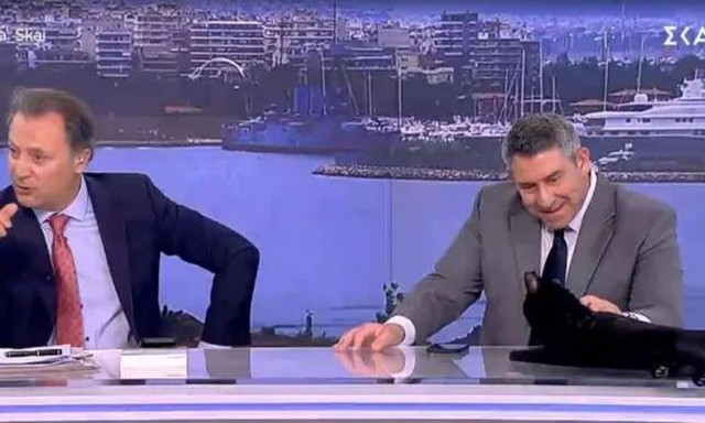 Επέστρεψε στο στούντιο του ΣΚΑΪ ο γάτος - Η αντίδραση του Άκη Παυλόπουλου