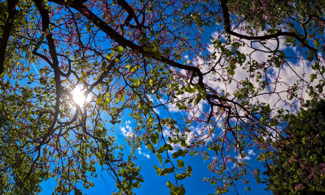 Καιρός: Με «σκαμπανεβάσματα» τις επόμενες ημέρες - Από τη μια βροχές και από την άλλη καύσωνας