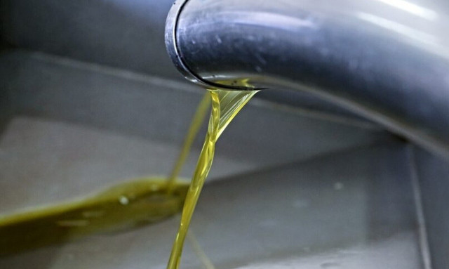 Νέες αυξήσεις στην τιμή του ελαιολάδου - Κραυγή αγωνίας από καταναλωτές και παραγωγούς