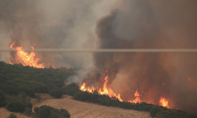 Φωτιά τώρα στον Μαραθώνα - Σε συναγερμό η Πυροσβεστική