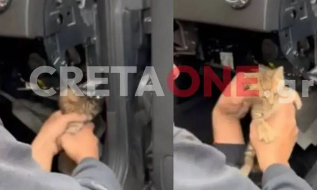 Κρήτη: Γατάκι «τρύπωσε» σε αεραγωγό καλοριφέρ ΙΧ και το... υιοθέτησε ο ιδιοκτήτης του!