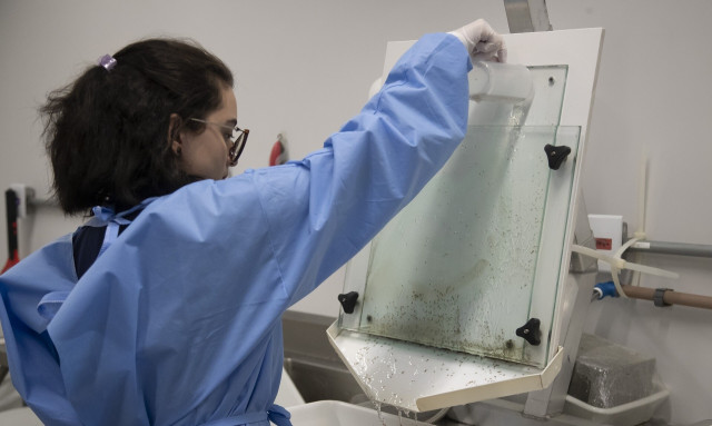 Παγκόσμιος συναγερμός: Ο θανατηφόρος ιός που δεν μπορεί να περιοριστεί - Τα συμπτώματα